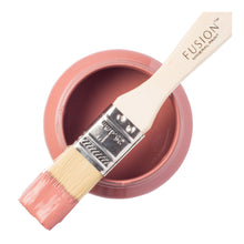 Load image into Gallery viewer, Enchanted Echinacea