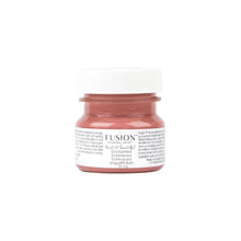 Load image into Gallery viewer, Enchanted Echinacea